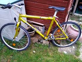 Freecycle GIANT Bicycle frame