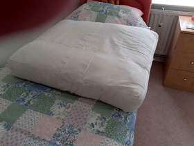 Freecycle Large Cushions
