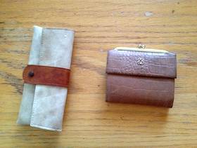 Freecycle Eyeglass case and small purse