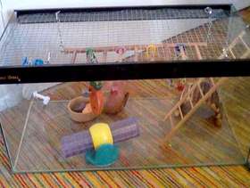 Freecycle Rodent aquarium