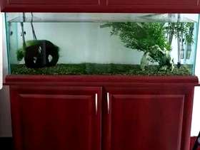 Freecycle Fish Tank -whole unit as seen in picture with filter ...