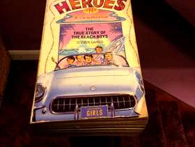 Freecycle Heros and villains beach boys