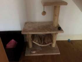 Freecycle Pets at Home Hammock Cat Tower