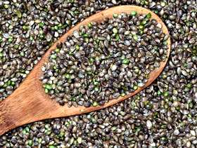 Freecycle What Is the Best CBD Products?