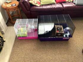 Freecycle Two Hamster Cages