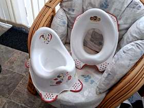 Freecycle Potty and childs toilet seat