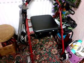 Freecycle Mobility walker