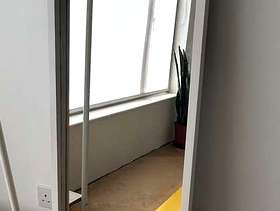Freecycle Tall mirror
