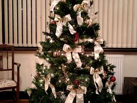 Freecycle Christmas Tree