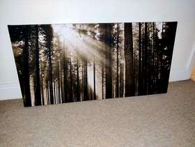 Freecycle Woodland picture