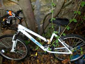 Freecycle Raleigh renaissance bike