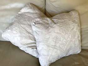 Freecycle 6 Damask Cushions