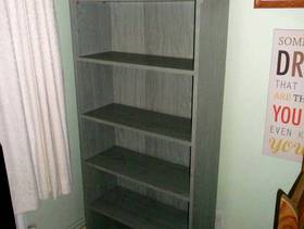 Freecycle Tall Bookcase