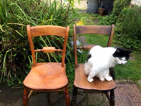 Freecycle 2 wooden chairs