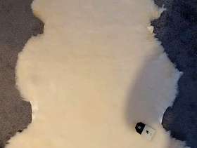 Freecycle 6 x brand new sheepskins