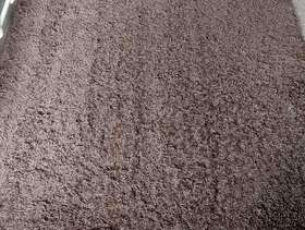 Freecycle Brown Rug FREE.
