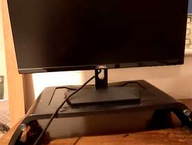 Freecycle 21" Dell Monitor and stand