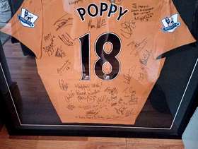 Freecycle Wolves 2009 signed shirt