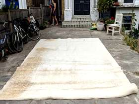Freecycle Large cream rug