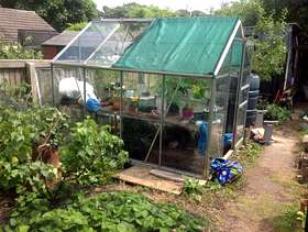 Freecycle 8'x6' greenhouse