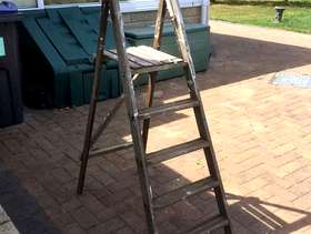Freecycle Step Ladder