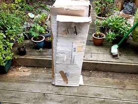 Freecycle Christmas tree with lights