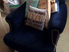 Freecycle Velvet Blue Arm Chair