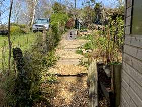 Freecycle Free - golden gravel stones