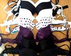 Freecycle Size 36B Bras