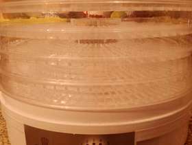 Freecycle Dehydrator