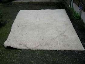 Freecycle Two pieces of carpet