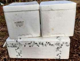 Freecycle Polystyrene boxes