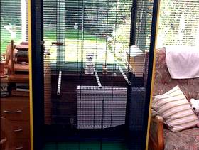 Freecycle Bird Cage/ Aviary