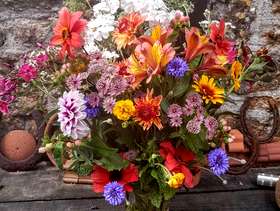 Freecycle Large bunch of fresh flowers
