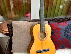 Freecycle Guitar