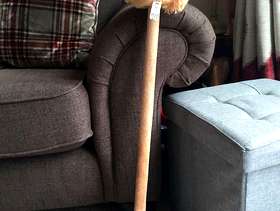 Freecycle Hobby Horse