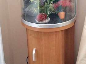 Freecycle Aquarium with corner unit stand