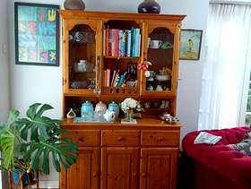 Freecycle Welsh Dresser