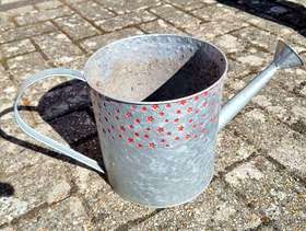 Freecycle Lightweight galvanised watering can plant holder