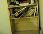 Freecycle Pine
