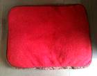 Freecycle Dog bed/cushion