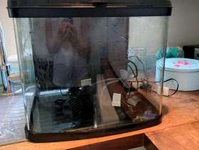 Freecycle Fish tank