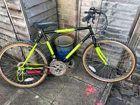 Freecycle Mountain bike