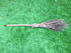 Freecycle Broomstick
