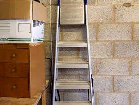 Freecycle Step ladder