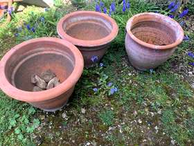 Freecycle Clay pots