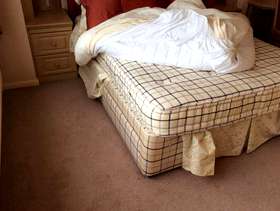 Freecycle King size Bed