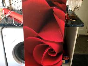 Freecycle Red rose print wall art