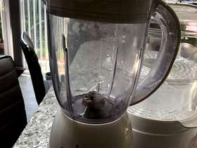 Freecycle Blender, food processor, vegetable steamer