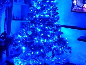 Freecycle Xmas tree